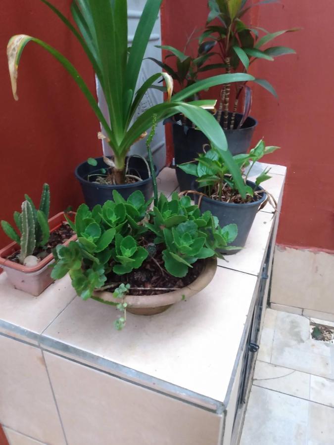 Namaste Homestay